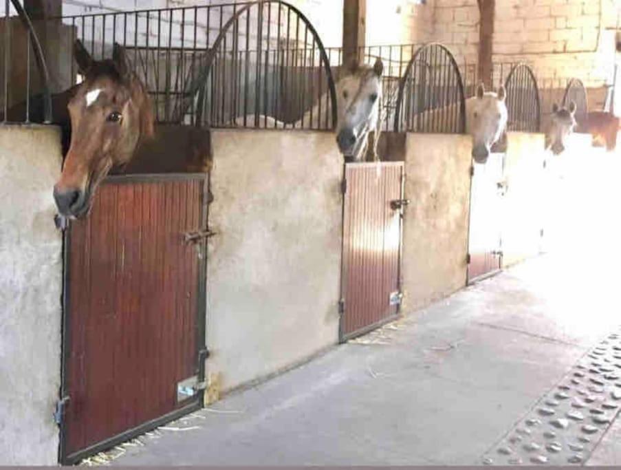Logement Insolite Au Coeur D'Une Ecurie アルル エクステリア 写真