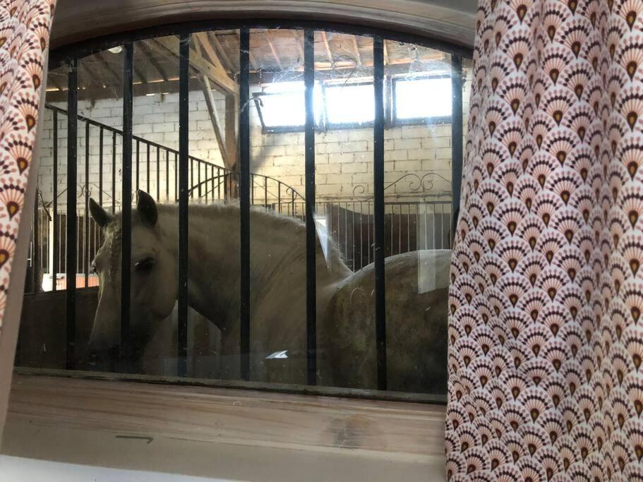 Logement Insolite Au Coeur D'Une Ecurie アルル エクステリア 写真